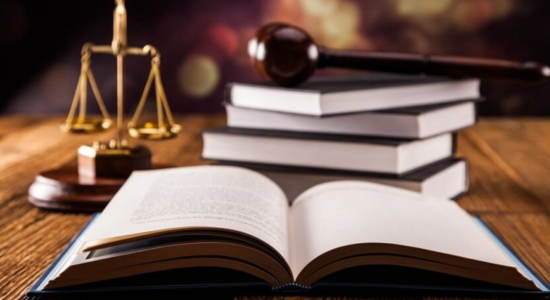 Direito Civil-Dra Joyce Nogueira Schmitt